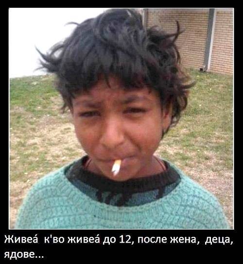 Циганин с мъдрости и фас в уста